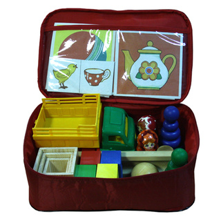 Диагностика познавательного развития детей раннего возраста (методика Е. А. Стребелевой)