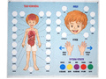Панно "Тело человека" (88 элементов)