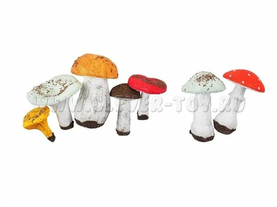 Набор муляжей грибов съедобных и ядовитых