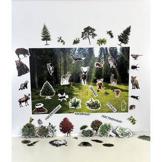 Магнитный плакат Лес с набором карточек (мобильный)